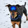 cooperthetooper