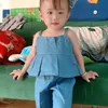 thanhtri11
