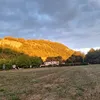 boazneelis