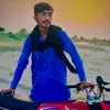 mrferzoo