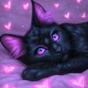 gatita_29120