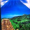 scenery884