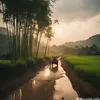 tran_hieuuuuu