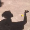 ayikteteki