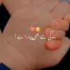 t.s.m_9553