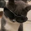 sona_sialkoti3