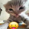 ____stitch_____