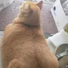 khnghmhnh