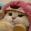 mytoast