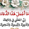 nazha4777