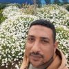 user4196304609455