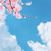 skysma_