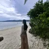 kimrossiebalones