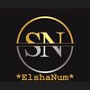 elshanum.sehrish18