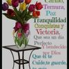 user1614081106932
