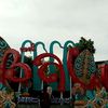 rosrosida06