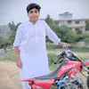 shami3337860