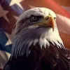 i.love.america.forever