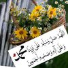 muuse.habne123