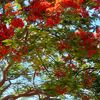 user922077060zaameet