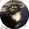 polya_latifa