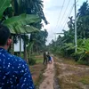kang.ees