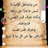 user4533013247519