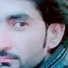 shahidhassan4655