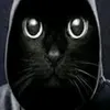 mrproru