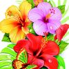 m.sagheer658