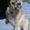 narumon.kanthong