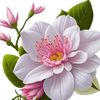 pawan......123
