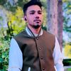 husnainalishah4102