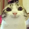 katseyefan342