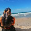 farah.farouha118