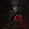 salma_a81