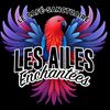 les.ailes.enchantees