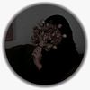 user956127203488