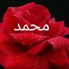 user9544681007214