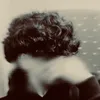 ux.fxisxl