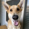 scrappy_goober