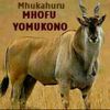 mhofuyemukono2014