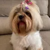 lauurasouzaaa