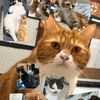 Nana'adek Family🐈🐈‍⬛
