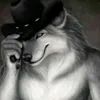 thewizardcheesecat