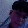 ludin461
