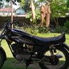 adamd561