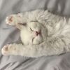 usernotfound23._