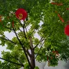 codaimuathu