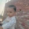 nice.sadi